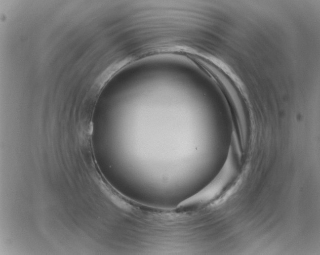 X0000066120897200603171751