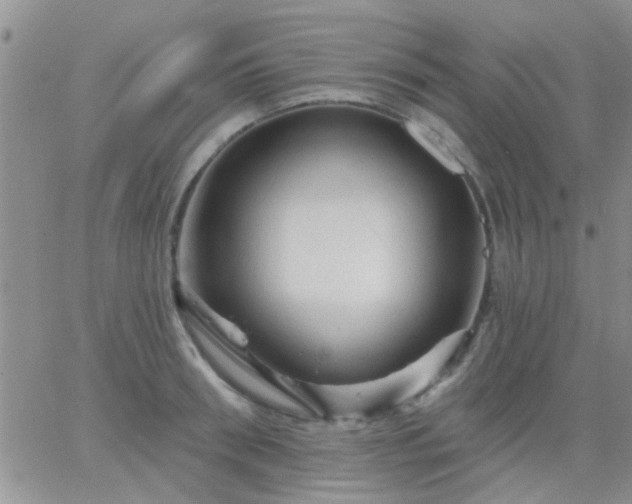 X0000066120898200603171751