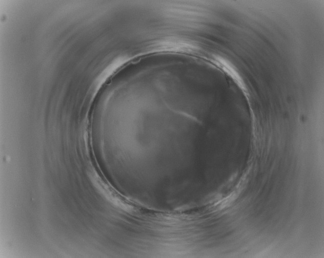 X0000066120899200603171751