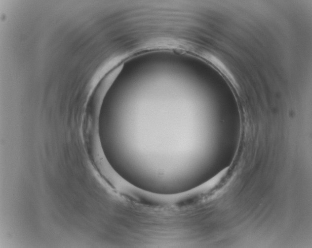 X0000066120901200603171751