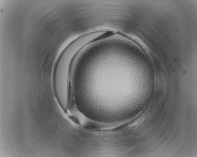 X0000066120902200603171751