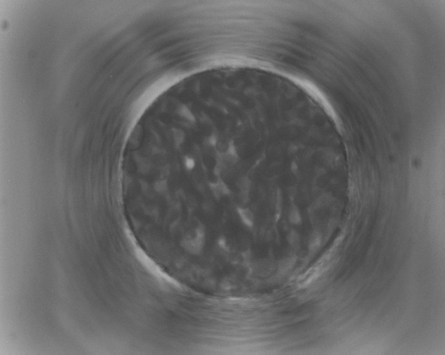 X0000066120903200603171751