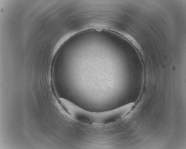 X0000066120904200603171751