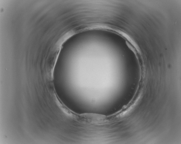 X0000066120905200603171751