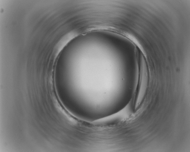 X0000066120906200603171751