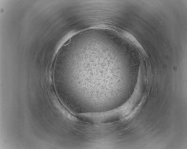 X0000066120908200603171751