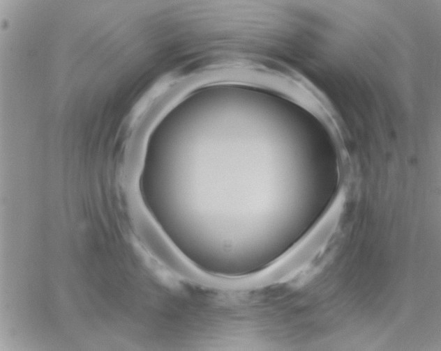 X0000066120909200603171751