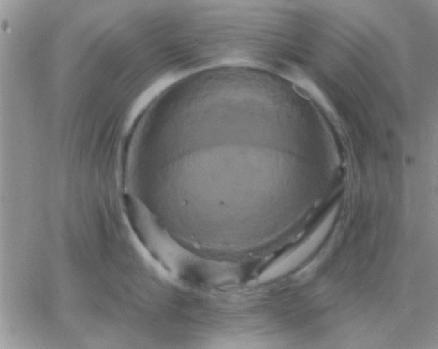 X0000066120910200603171751