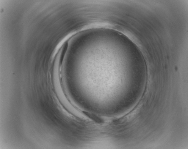 X0000066120912200603171751