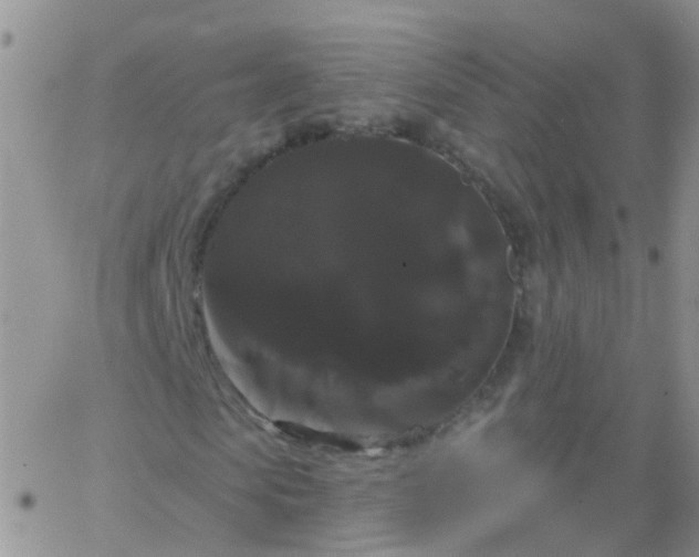 X0000066120913200603171750