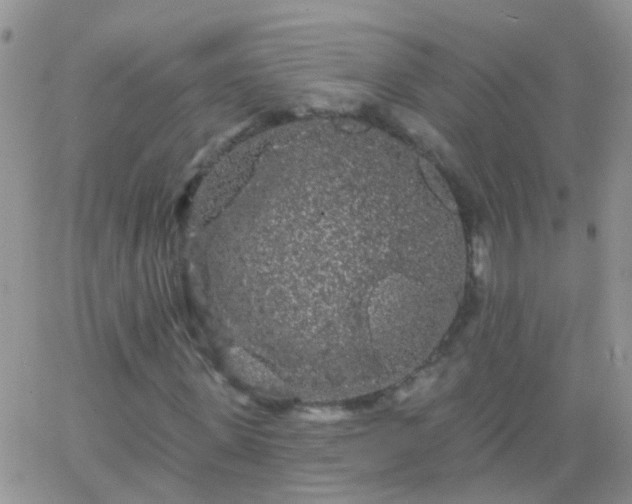 X0000066120915200603171750