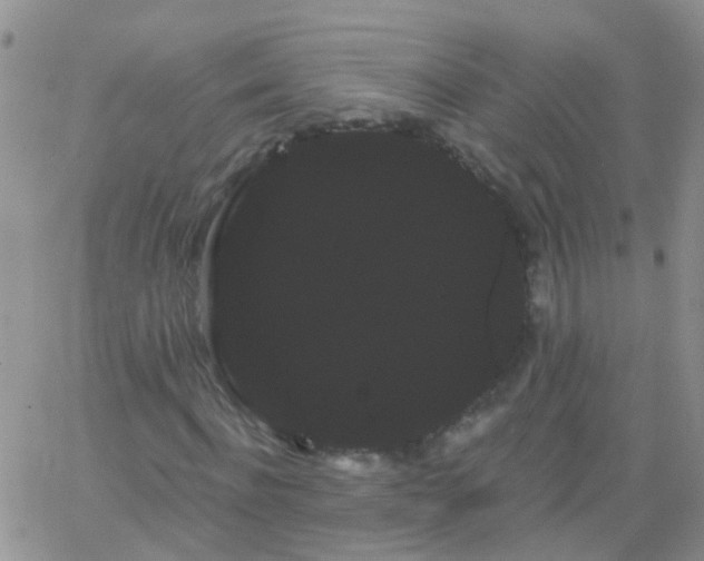 X0000066120916200603171750