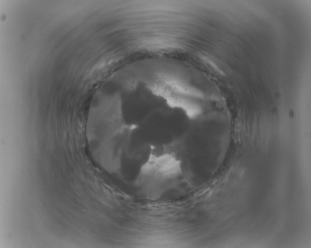 X0000066120917200603171750