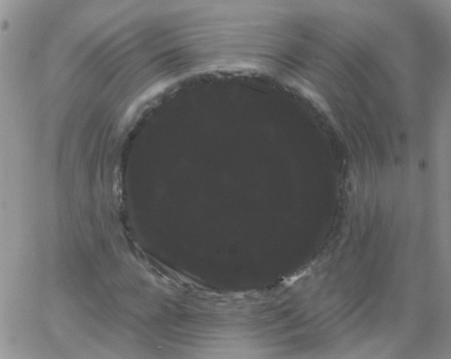 X0000066120920200603171750