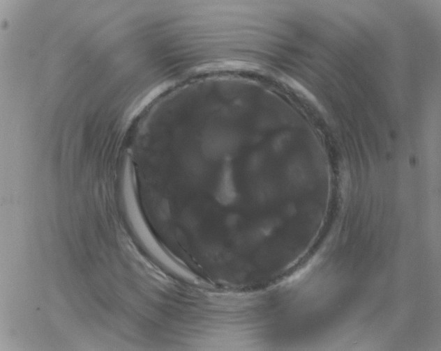 X0000066120921200603171750