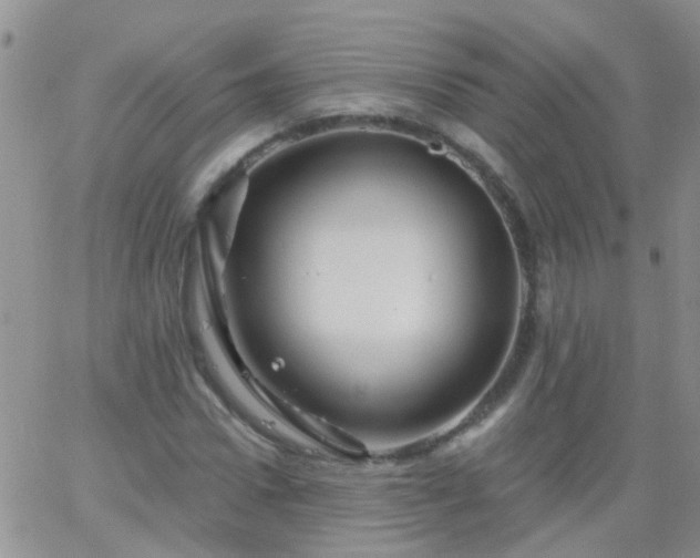 X0000066120922200603171750