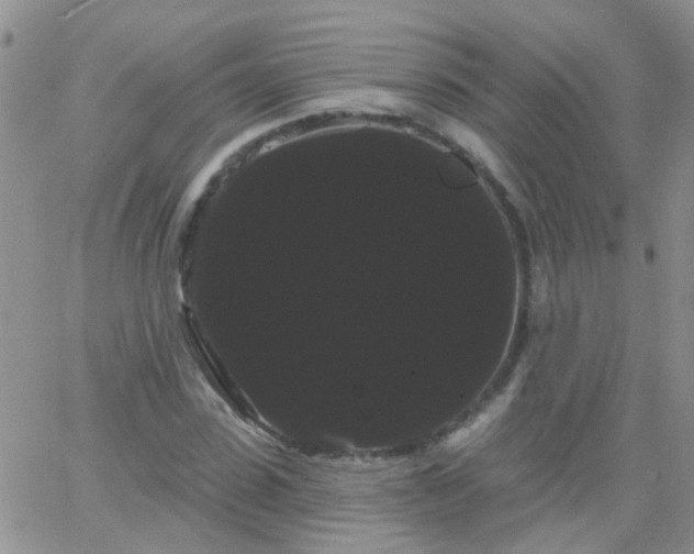 X0000066120923200603171750