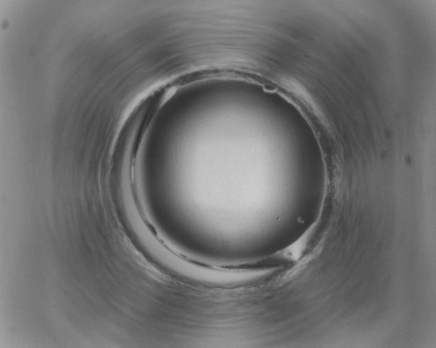 X0000066120924200603171750