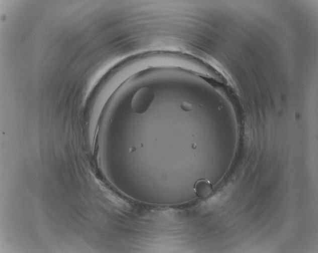 X0000066120926200603171750