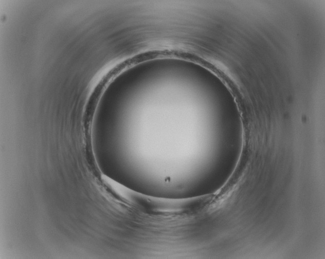 X0000066120927200603171750