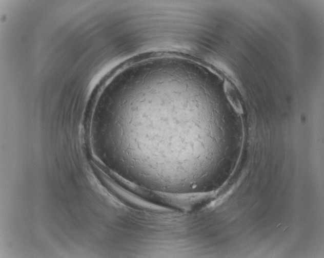 X0000066120928200603171750