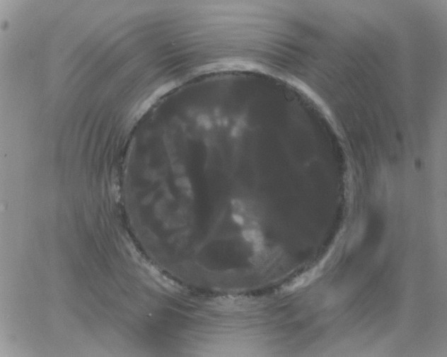 X0000066120929200603171750