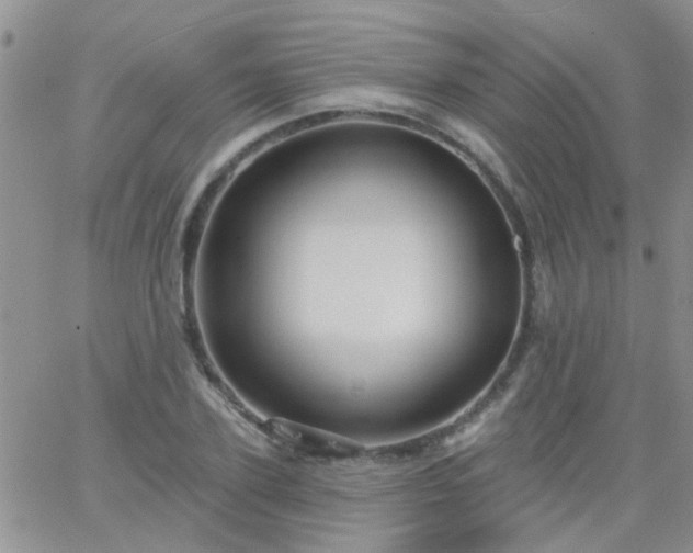 X0000066120931200603171750