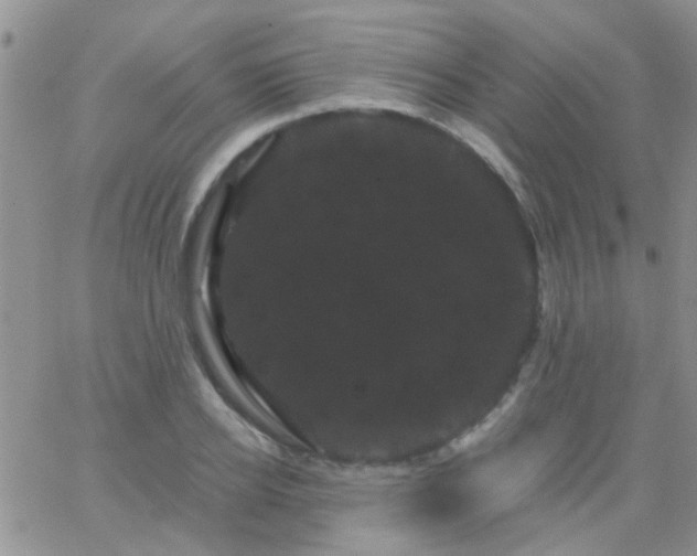 X0000066120934200603171750