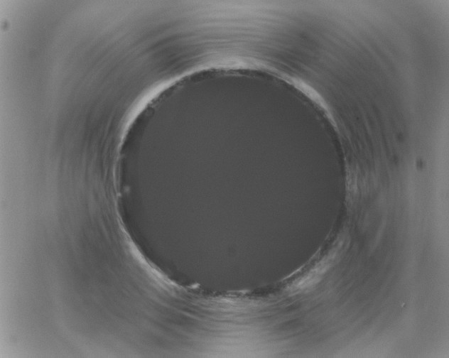 X0000066120935200603171750