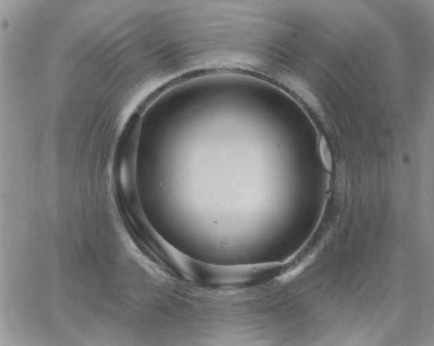 X0000066120936200603171750