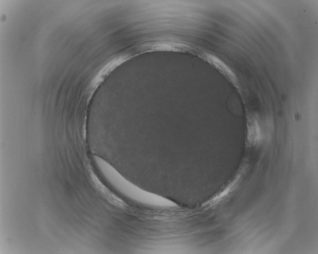 X0000066120938200603171750