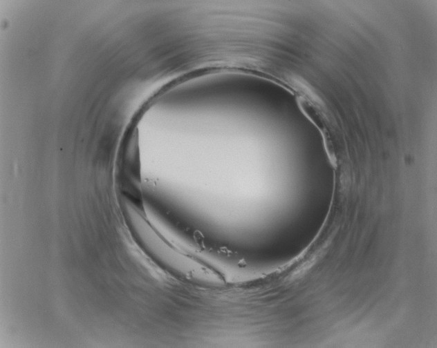 X0000066120940200603171750