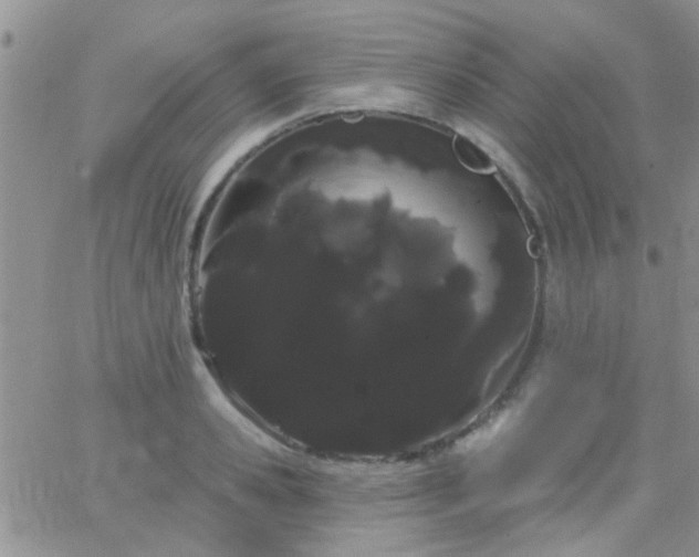 X0000066120941200603171750