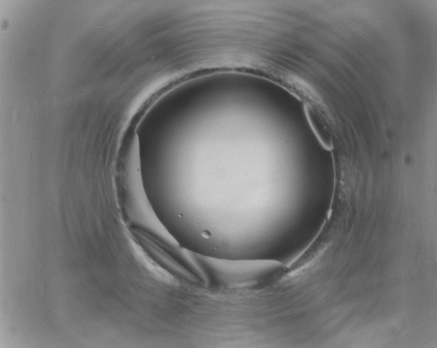 X0000066120942200603171750