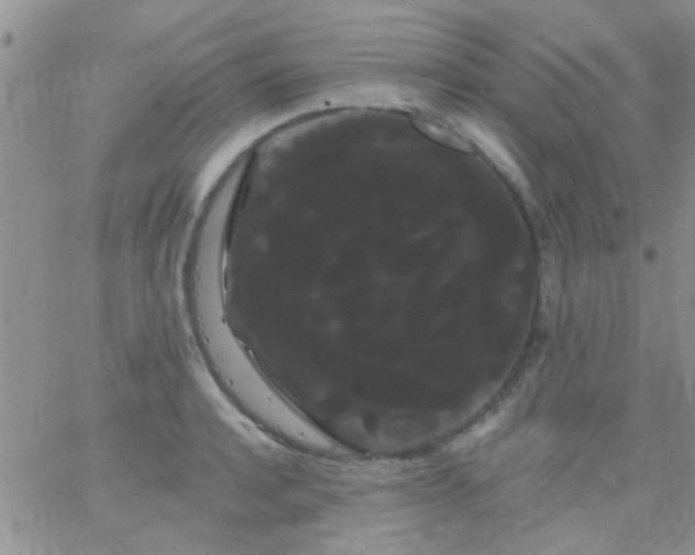 X0000066120944200603171750