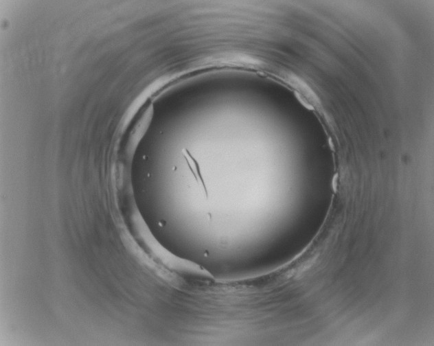 X0000066120947200603171750