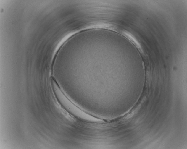 X0000066120948200603171750