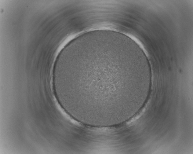 X0000066120949200603171750