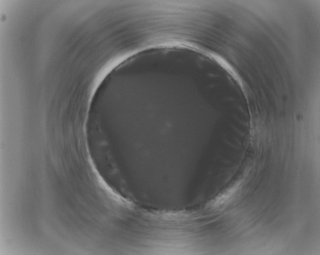 X0000066120951200603171750