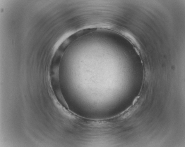 X0000066120952200603171750