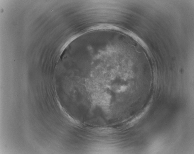 X0000066120953200603171750