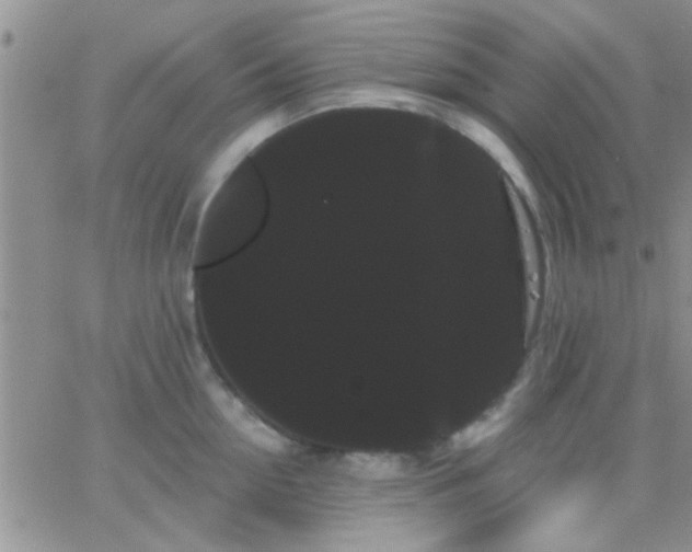 X0000066120954200603171750