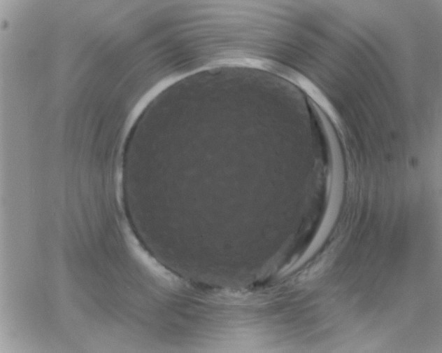 X0000066120955200603171750