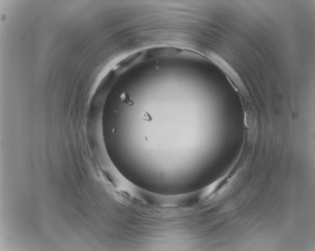 X0000066120956200603171750