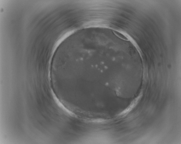 X0000066120957200603171750