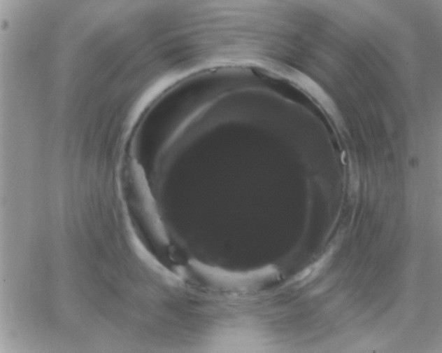 X0000066120958200603171751