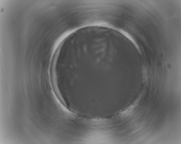 X0000066120959200603171751