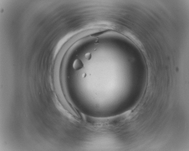 X0000066120960200603171751