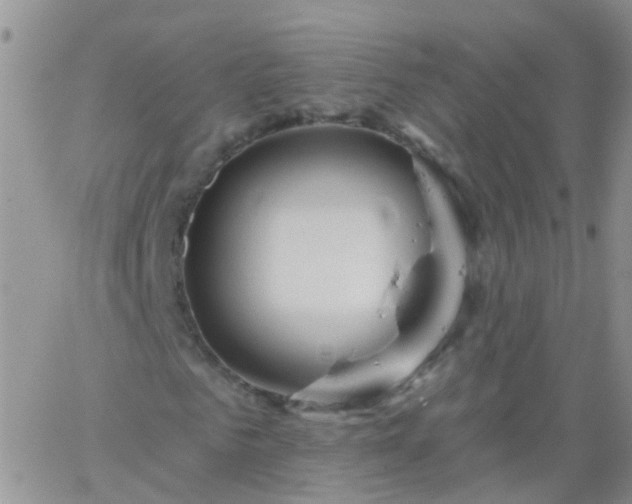 X0000066120961200603171750