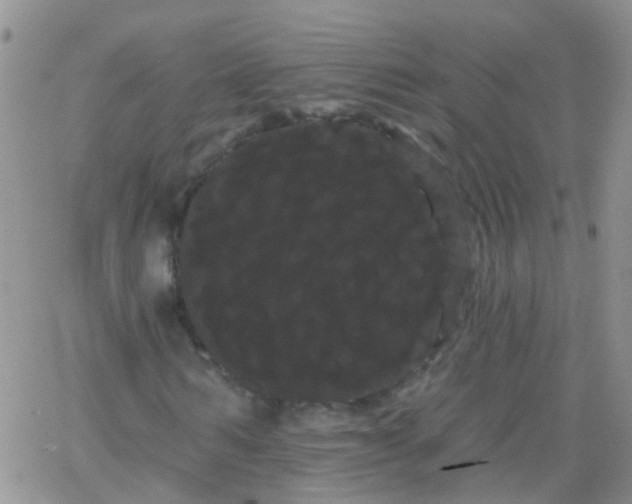 X0000066120962200603171750